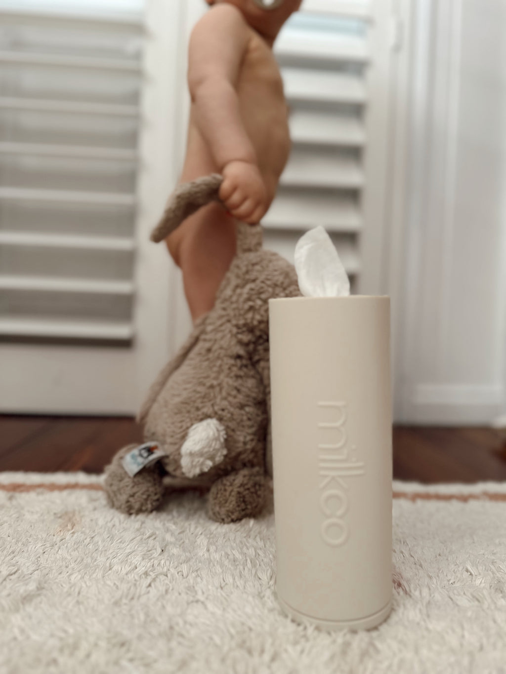 Wiwi Wipes Container